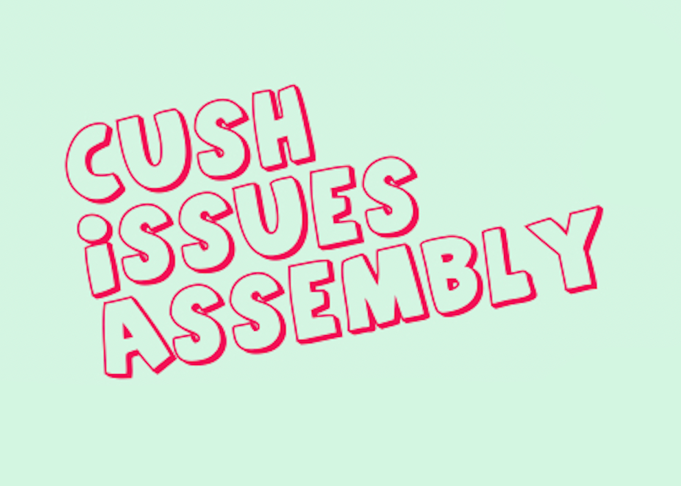 Cush Issues Assembly Graphic