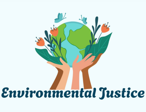 Towards an Equitable & Resilient Urban Forest