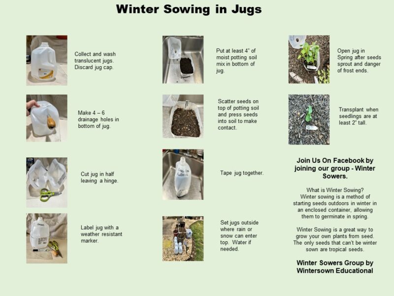 Winter Sowing Guide