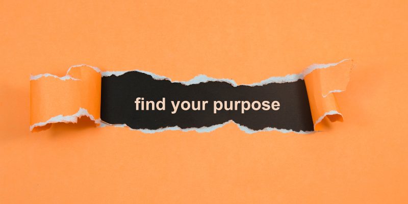 find your purpose